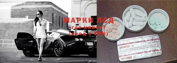 спайс Инта