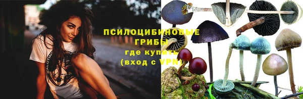 спайс Инта