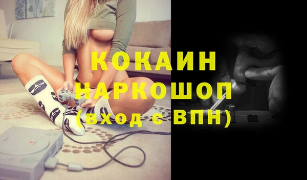 спайс Инта