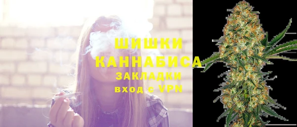спайс Инта