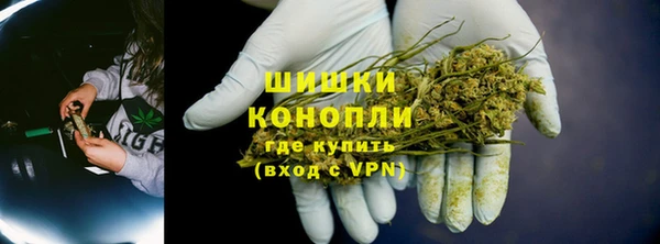 спайс Инта