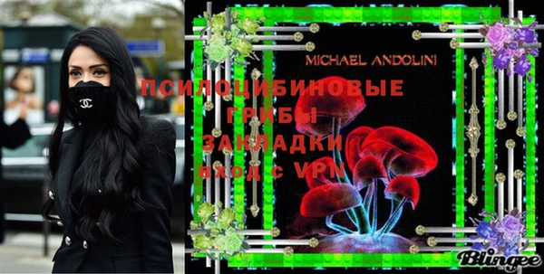спайс Инта