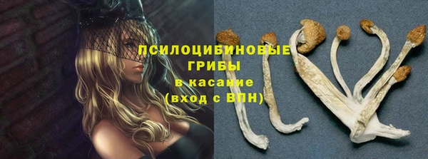 a pvp Инсар
